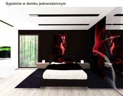 Sypialnia i salon w domu jednorodzinnym – Wnętrza mieszkalne